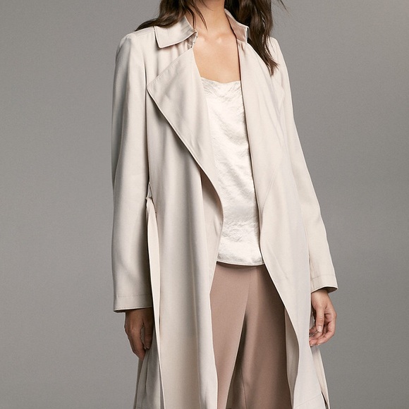 Aritzia babaton Maximo trench coat - Picture 8 of 8